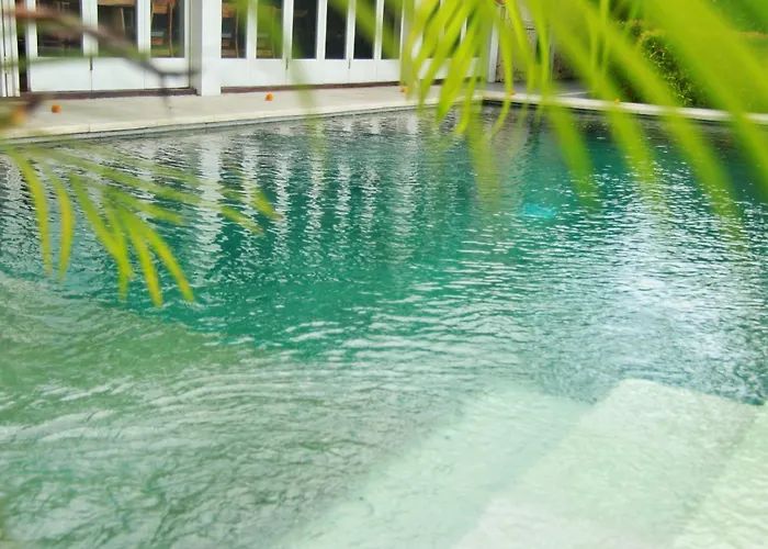 Villa Ndaru - 4 Bedroom Villa In Batu Bolong, Canggu